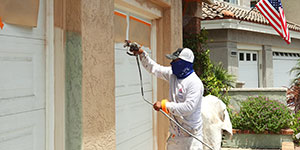Exterior Painting Picture